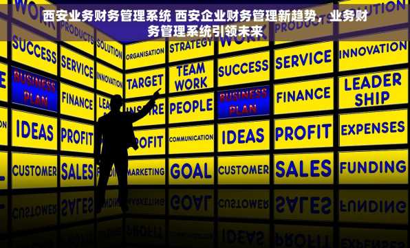 西安业务财务管理系统 西安企业财务管理新趋势，业务财务管理系统引领未来