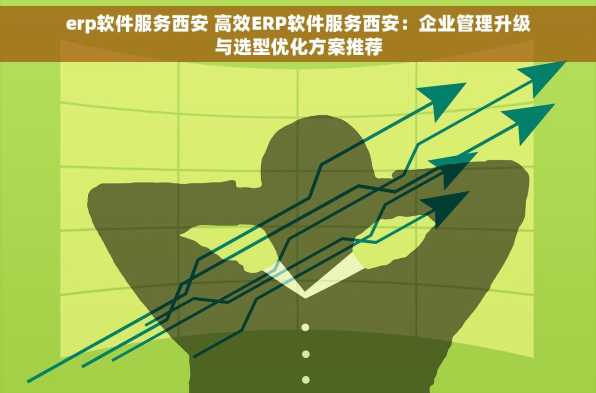 erp软件服务西安 高效ERP软件服务西安：企业管理升级与选型优化方案推荐