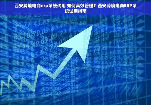 西安跨境电商erp系统试用 如何高效管理？西安跨境电商ERP系统试用指南
