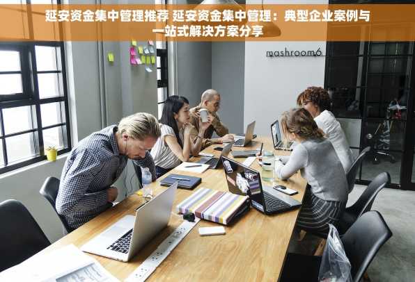 延安资金集中管理推荐 延安资金集中管理：典型企业案例与一站式解决方案分享