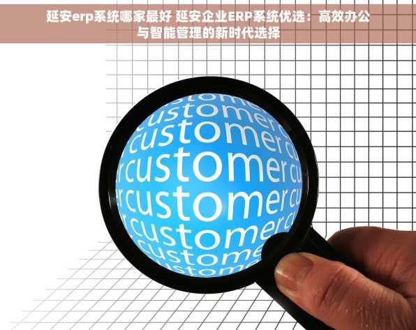 延安erp系统哪家最好 延安企业ERP系统优选：高效办公与智能管理的新时代选择