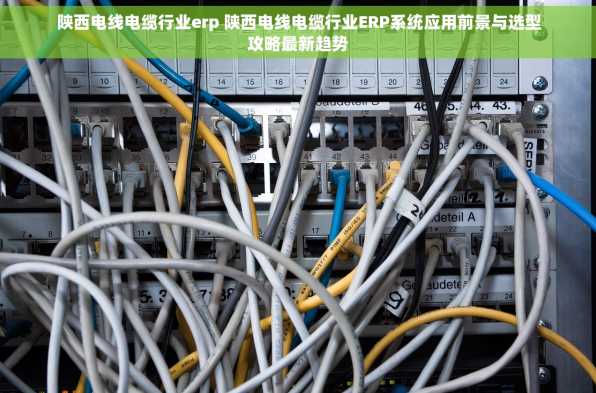 陕西电线电缆行业erp 陕西电线电缆行业ERP系统应用前景与选型攻略最新趋势