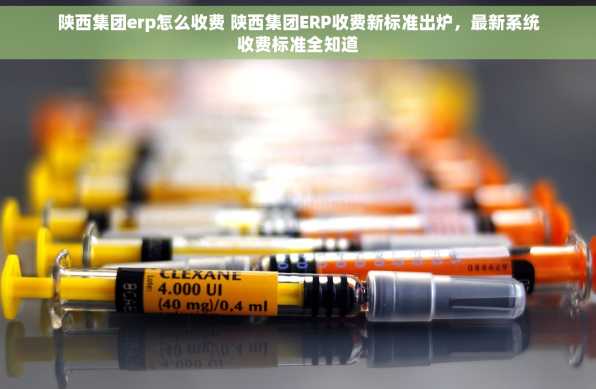 陕西集团erp怎么收费 陕西集团ERP收费新标准出炉，最新系统收费标准全知道