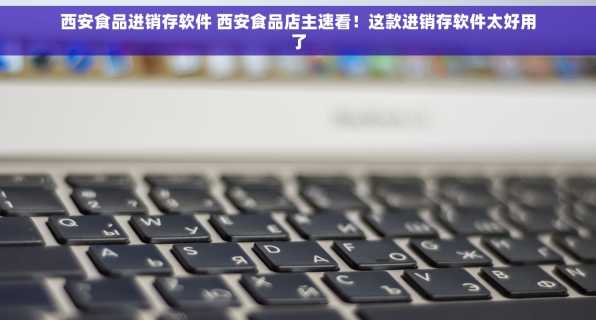 西安食品进销存软件 西安食品店主速看！这款进销存软件太好用了