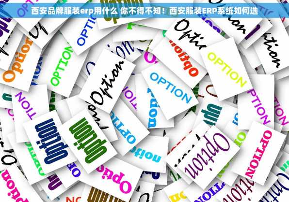 西安品牌服装erp用什么 你不得不知！西安服装ERP系统如何选