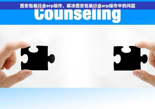 西安包装行业erp操作，解决西安包装行业erp操作中的问题