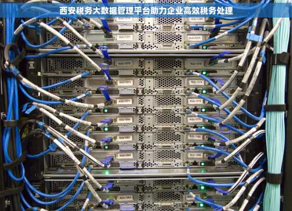 西安税务大数据管理平台助力企业高效税务处理