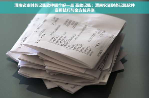 渭南农资财务记账软件哪个好一点 高效记账：渭南农资财务记账软件实用技巧与全方位评测