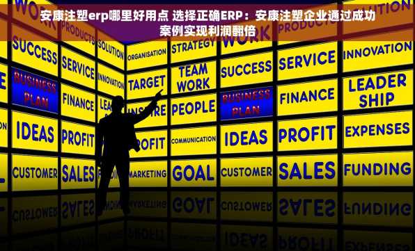 安康注塑erp哪里好用点 选择正确ERP：安康注塑企业通过成功案例实现利润翻倍