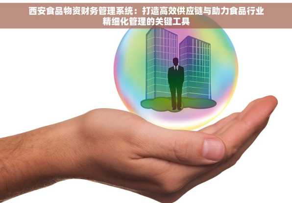 西安食品物资财务管理系统：打造高效供应链与助力食品行业精细化管理的关键工具