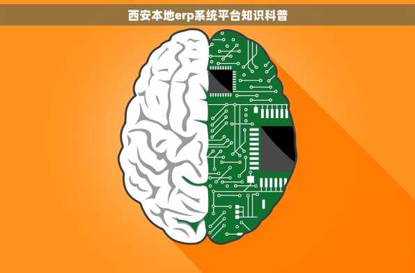 西安本地erp系统平台知识科普