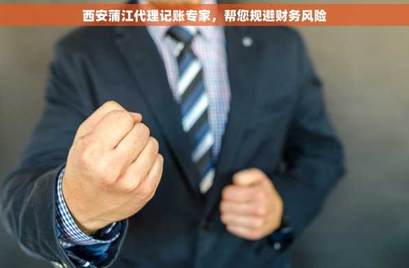 西安蒲江代理记账专家，帮您规避财务风险