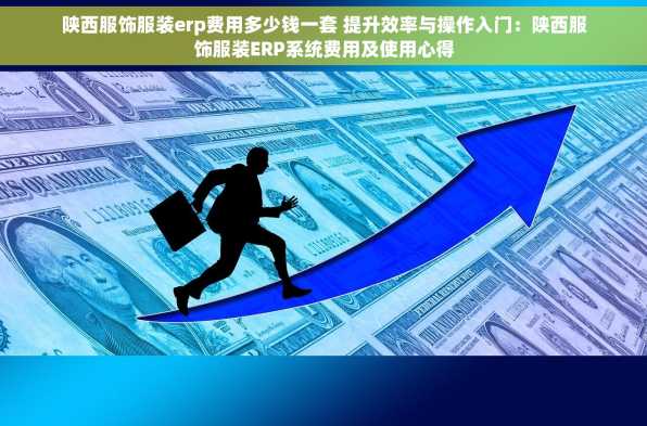 陕西服饰服装erp费用多少钱一套 提升效率与操作入门：陕西服饰服装ERP系统费用及使用心得