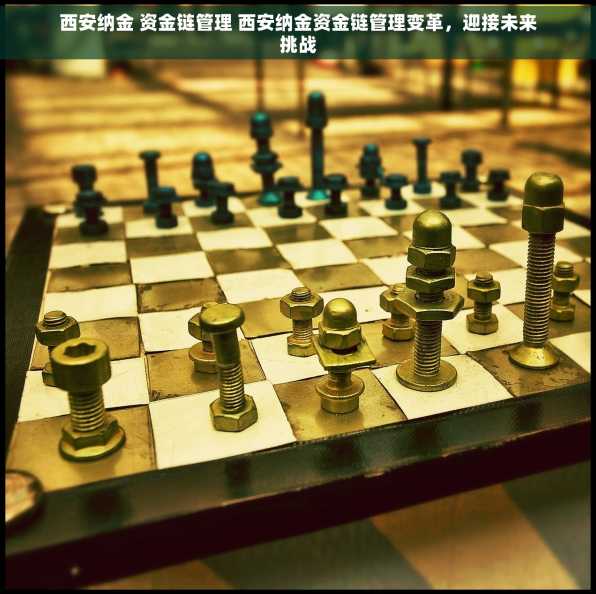 西安纳金 资金链管理 西安纳金资金链管理变革，迎接未来挑战