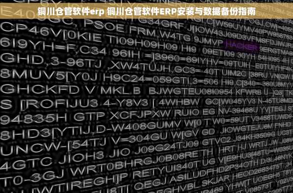 铜川仓管软件erp 铜川仓管软件ERP安装与数据备份指南