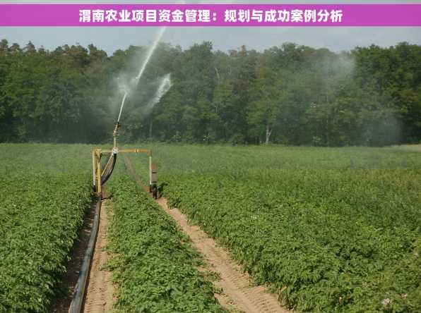 渭南农业项目资金管理：规划与成功案例分析