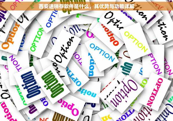 西安进销存软件是什么，其优势与功能详解
