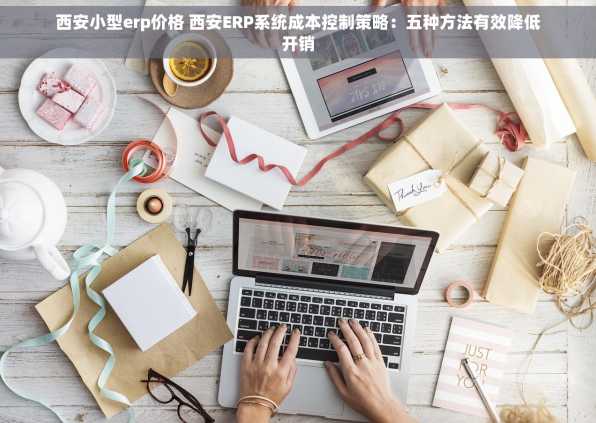 西安小型erp价格 西安ERP系统成本控制策略：五种方法有效降低开销