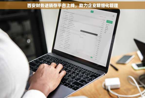 西安财务进销存平台上线，助力企业精细化管理