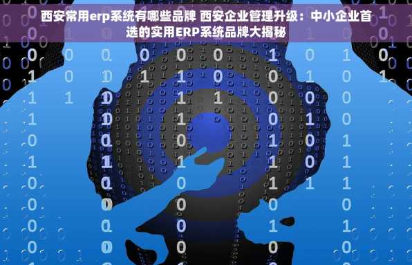 西安常用erp系统有哪些品牌 西安企业管理升级：中小企业首选的实用ERP系统品牌大揭秘