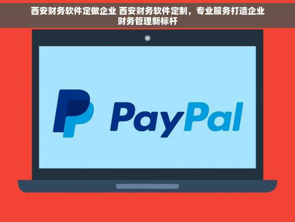 西安财务软件定做企业 西安财务软件定制，专业服务打造企业财务管理新标杆