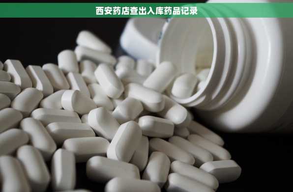 西安药店查出入库药品记录