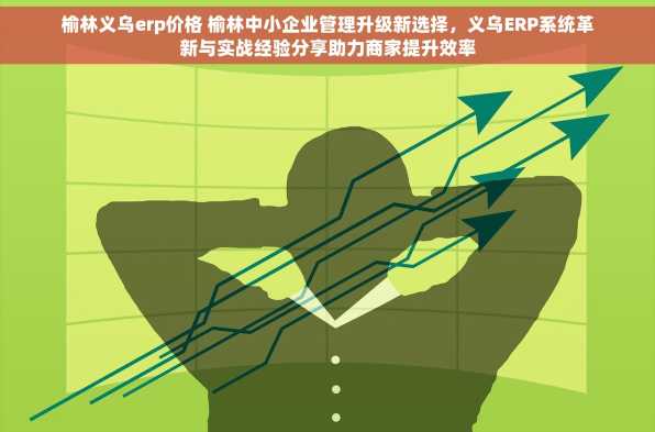 榆林义乌erp价格 榆林中小企业管理升级新选择，义乌ERP系统革新与实战经验分享助力商家提升效率