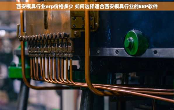 西安模具行业erp价格多少 如何选择适合西安模具行业的ERP软件