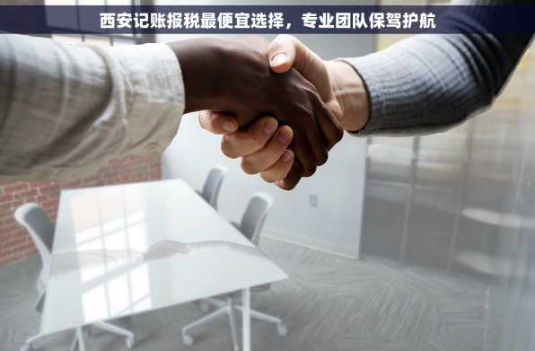 西安记账报税最便宜选择，专业团队保驾护航