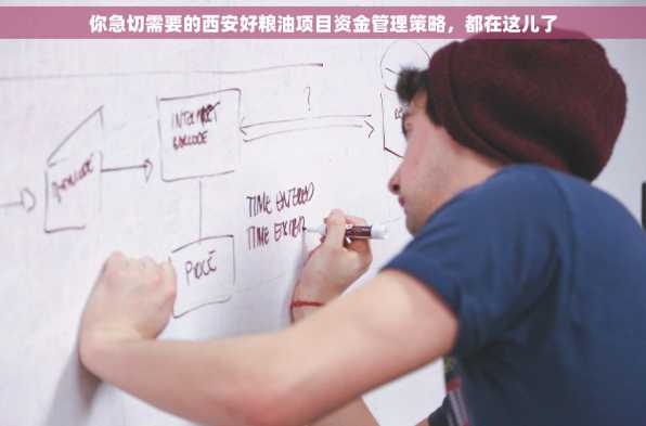 你急切需要的西安好粮油项目资金管理策略，都在这儿了