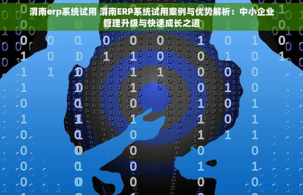 渭南erp系统试用 渭南ERP系统试用案例与优势解析：中小企业管理升级与快速成长之道