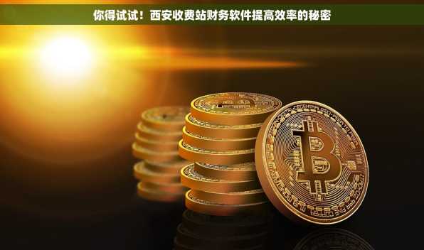 你得试试！西安收费站财务软件提高效率的秘密