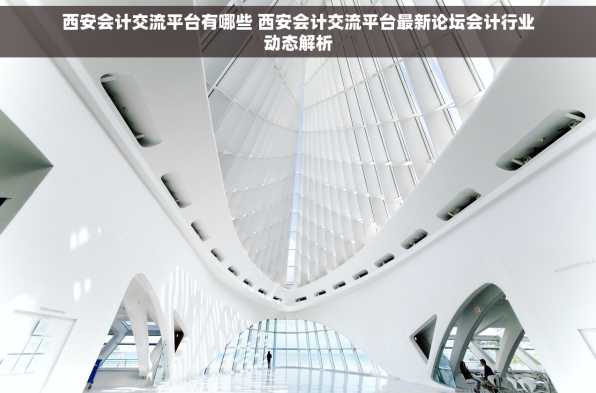 西安会计交流平台有哪些 西安会计交流平台最新论坛会计行业动态解析