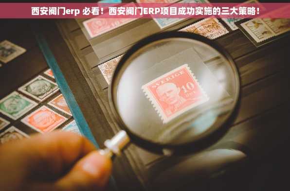西安阀门erp 必看！西安阀门ERP项目成功实施的三大策略！