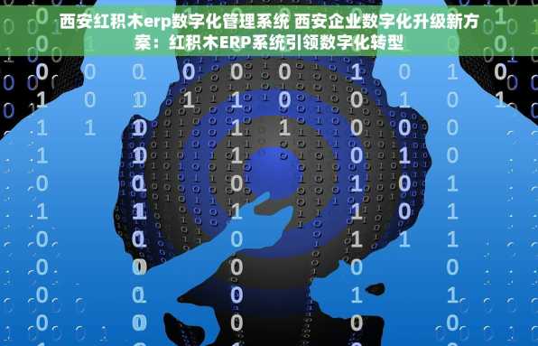 西安红积木erp数字化管理系统 西安企业数字化升级新方案：红积木ERP系统引领数字化转型