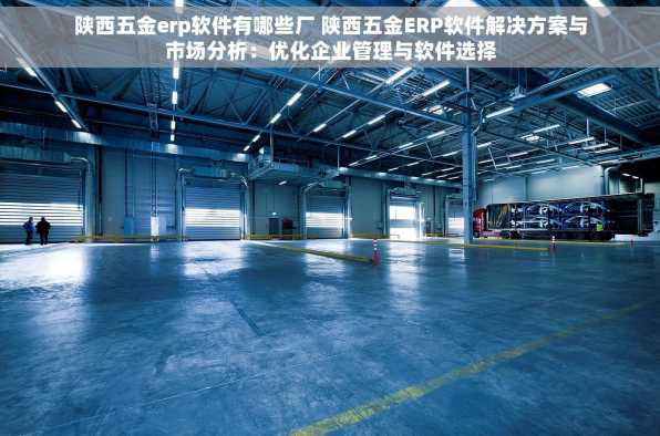 陕西五金erp软件有哪些厂 陕西五金ERP软件解决方案与市场分析：优化企业管理与软件选择