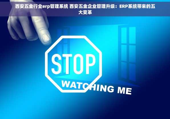 西安五金行业erp管理系统 西安五金企业管理升级：ERP系统带来的五大变革