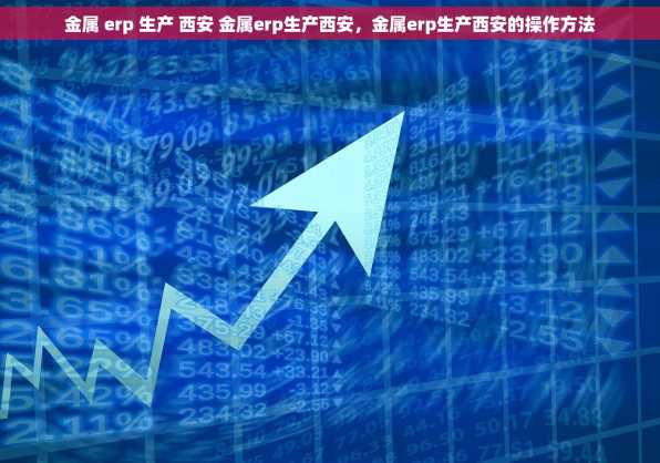 金属 erp 生产 西安 金属erp生产西安，金属erp生产西安的操作方法
