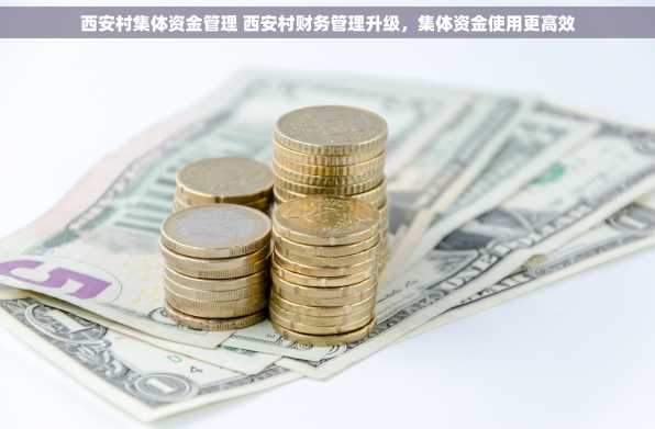 西安村集体资金管理 西安村财务管理升级，集体资金使用更高效