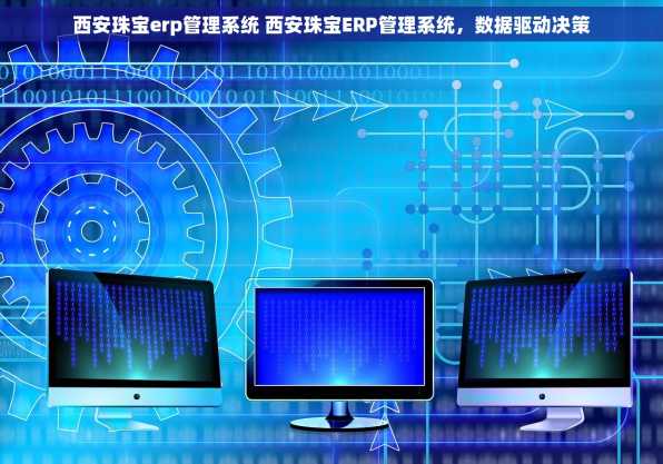 西安珠宝erp管理系统 西安珠宝ERP管理系统，数据驱动决策