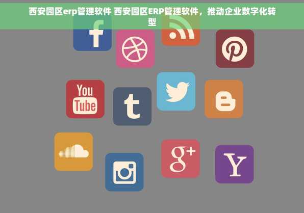 西安园区erp管理软件 西安园区ERP管理软件，推动企业数字化转型