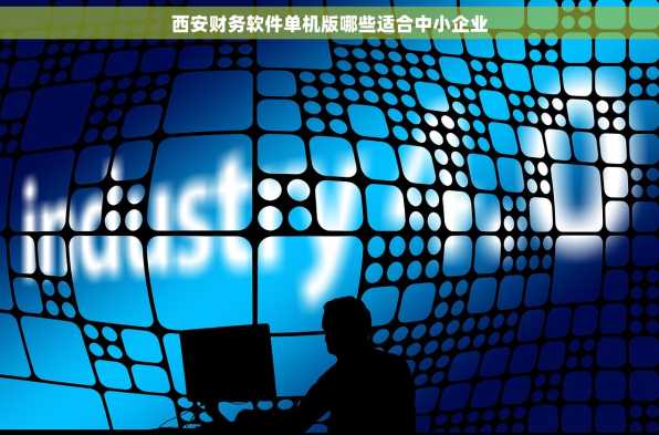 西安财务软件单机版哪些适合中小企业