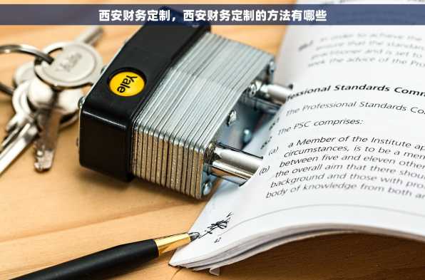 西安财务定制，西安财务定制的方法有哪些