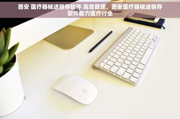 西安 医疗器械进销存软件 高效管理，西安医疗器械进销存软件助力医疗行业