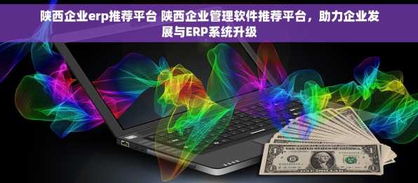 陕西企业erp推荐平台 陕西企业管理软件推荐平台，助力企业发展与ERP系统升级
