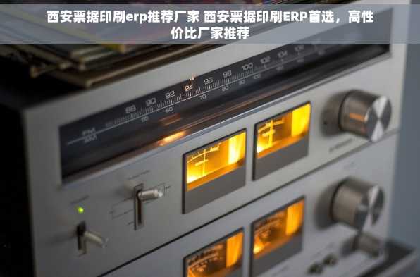西安票据印刷erp推荐厂家 西安票据印刷ERP首选，高性价比厂家推荐