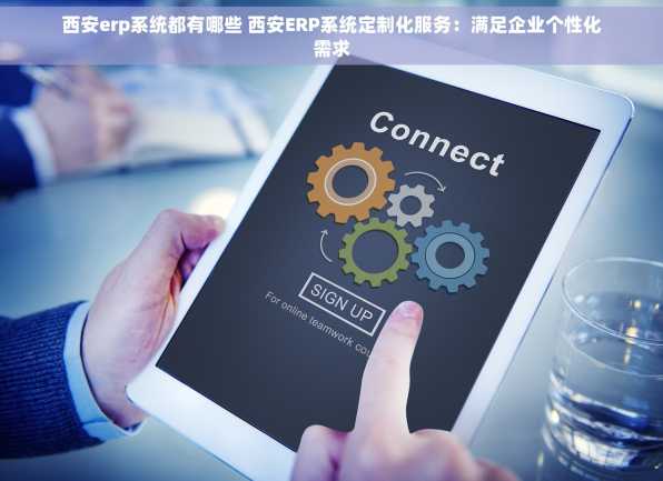 西安erp系统都有哪些 西安ERP系统定制化服务：满足企业个性化需求