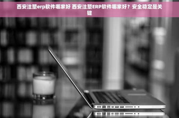 西安注塑erp软件哪家好 西安注塑ERP软件哪家好？安全稳定是关键