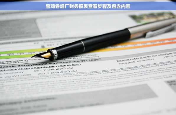 宝鸡卷烟厂财务报表查看步骤及包含内容