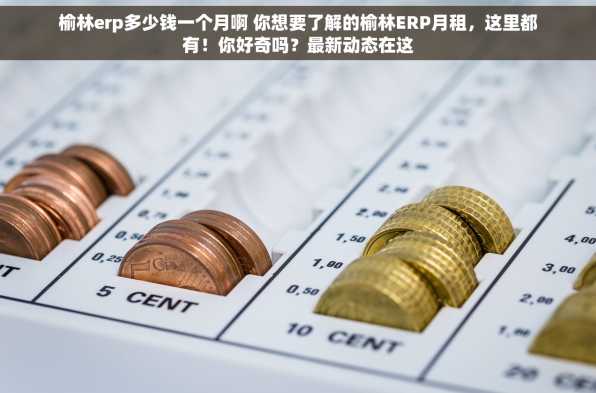 榆林erp多少钱一个月啊 你想要了解的榆林ERP月租，这里都有！你好奇吗？最新动态在这
